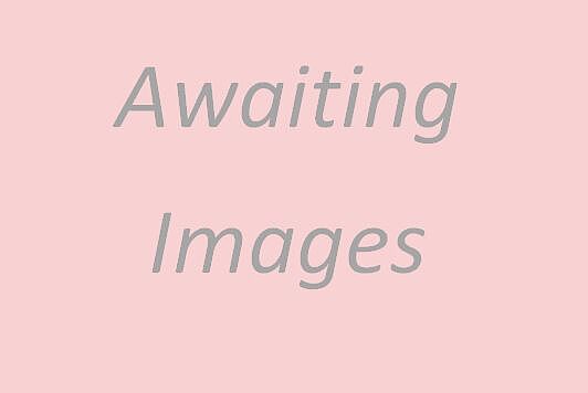 Nissan Primastar 2.0 dCi 170 Tekna L1 H1 2.8T Panel Van with Sat Nav and Rear View Camera